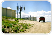 MobNet Consulting
